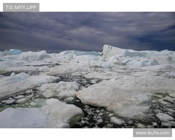 全球顶级滑雪场雪崩风险的实时监测赛